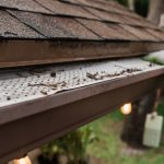 Gutter Washing in Charleston, South Carolina